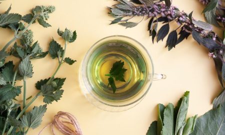 Catnip Tea
