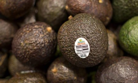 United States Suspends Avocado Imports from Mexico